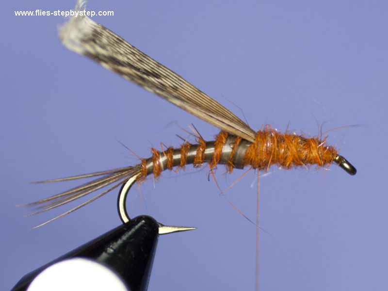 Stonefly nymph pattern - How to tie fly, Fly tying Step by Step ...